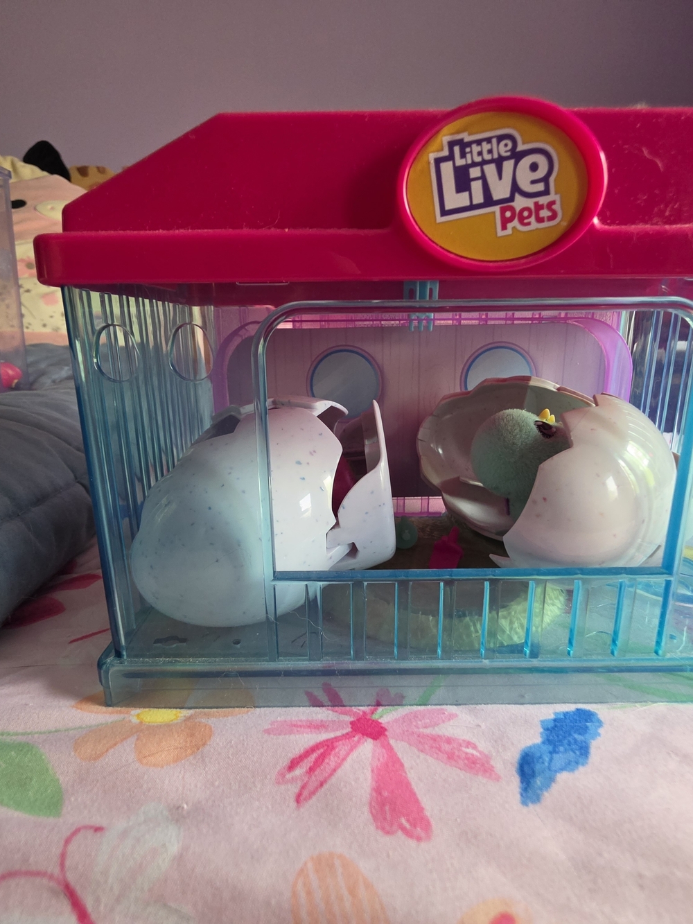 Pink & Blue Hatchable Toy Playset